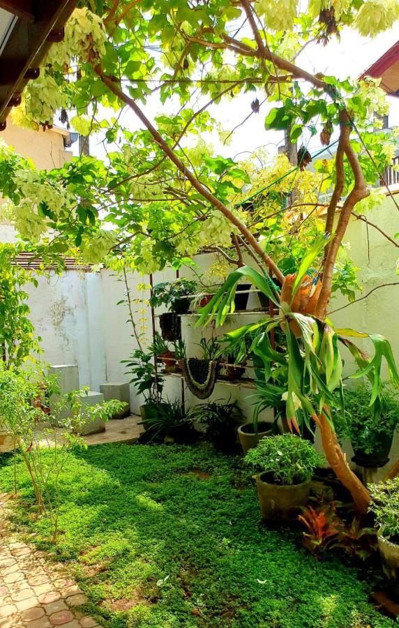 Guesthouse Kind And Love Hikkaduwa Ngoại thất bức ảnh