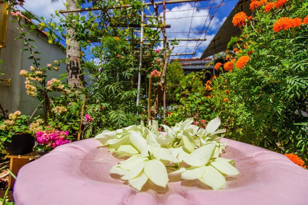 Guesthouse Kind And Love Hikkaduwa Ngoại thất bức ảnh